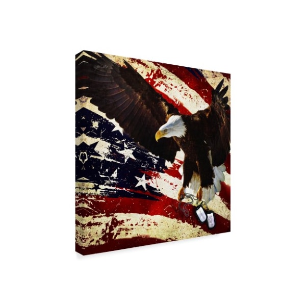 Jason Bullard 'The Cost Of Freedom' Canvas Art,24x24